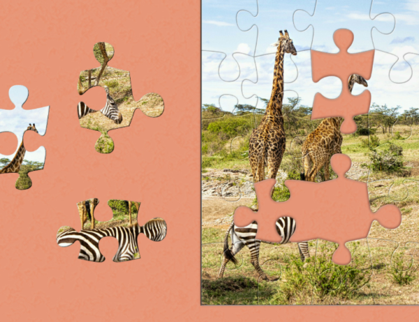 photo puzzle animaux